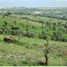  Terrain for sale in Allende, Guanajuato, Allende