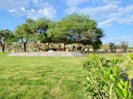  Terrain for sale in Allende, Guanajuato, Allende