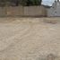  Land for rent in General Cepeda, Coahuila, General Cepeda