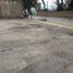  Land for rent in General Cepeda, Coahuila, General Cepeda