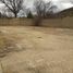  Land for rent in General Cepeda, Coahuila, General Cepeda