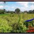  Land for sale in Ubud, Gianyar, Ubud