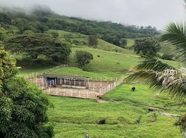 5 Schlafzimmer Villa zu verkaufen in Dosquebradas, Risaralda, Dosquebradas