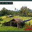  Land for sale in Selemadeg, Tabanan, Selemadeg