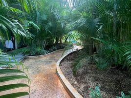 2 Schlafzimmer Appartement zu verkaufen in Cozumel, Quintana Roo, Cozumel, Quintana Roo