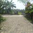  Land for sale in Ubud, Gianyar, Ubud