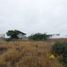  Land for sale in Manta, Manabi, Manta, Manta, Manabi