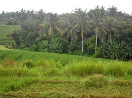  Land for sale in Selemadeg, Tabanan, Selemadeg