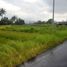  Land for sale in Selemadeg, Tabanan, Selemadeg