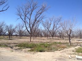  Grundstück zu verkaufen in Torreon, Coahuila, Torreon