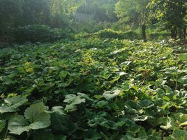  Terreno (Parcela) en venta en Acapulco, Guerrero, Acapulco, Guerrero