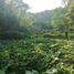  Terreno (Parcela) en venta en Acapulco, Guerrero, Acapulco, Guerrero