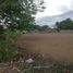  Land for sale in Bangued, Cordillera, Bangued, Abra
