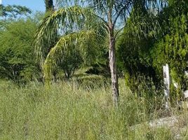  Grundstück zu verkaufen in Montemorelos, Nuevo Leon, Montemorelos