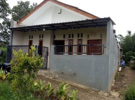  House for sale in Jombang, East Jawa, Jombang, Jombang