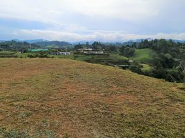 Terrain à vendre à Retiro, Antioquia, Retiro