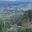  Land for sale in Tequila, Jalisco, Tequila