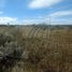  Land for rent in Vallecillo, Nuevo Leon, Vallecillo