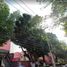 3 Schlafzimmer Appartement zu verkaufen in Coyoacan, Mexico City, Coyoacan