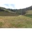  Land for sale in Penol, Antioquia, Penol