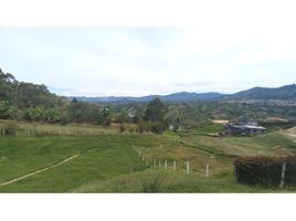  Land for sale in Penol, Antioquia, Penol