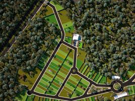  Land for sale in Valladolid, Yucatan, Valladolid