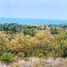  Land for sale in Alcoy, Central Visayas, Alcoy