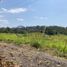 Terrain à vendre à Tuxpan, Veracruz, Tuxpan, Veracruz