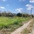 Terrain à vendre à Tuxpan, Veracruz, Tuxpan, Veracruz
