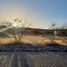  Land for sale in Guaymas, Sonora, Guaymas