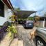 5 Habitación Casa en venta en Las Cumbres, Ciudad de Panamá, Las Cumbres