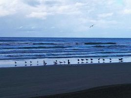  Land for sale in Tecuala, Nayarit, Tecuala