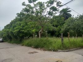 Terrain à vendre à Pueblo Viejo, Veracruz, Pueblo Viejo