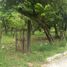 Terrain à vendre à Pueblo Viejo, Veracruz, Pueblo Viejo