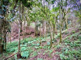  Land for sale in Retiro, Antioquia, Retiro