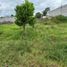  Land for sale in Ibarra, Imbabura, San Antonio, Ibarra