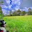  Land for sale in La Ceja, Antioquia, La Ceja