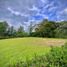  Land for sale in La Ceja, Antioquia, La Ceja