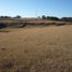  Land for rent in Tepotzotlan, Mexico, Tepotzotlan