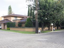 4 Habitación Apartamento en venta en San Pedro Cholula, Puebla, San Pedro Cholula