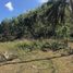  Land for sale in Cebu Central Visayas, Sogod