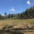  Land for sale in Cebu Central Visayas, Sogod