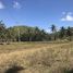  Land for sale in Cebu Central Visayas, Sogod