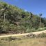  Land for sale in Cebu Central Visayas, Sogod