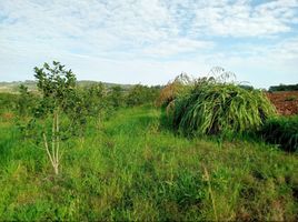 3 Schlafzimmer Villa zu verkaufen in Guarani, Misiones, Guarani, Misiones