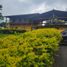 6 chambre Villa for sale in Envigado, Antioquia, Envigado