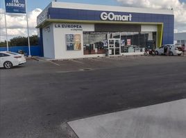  Land for rent in Chicxulub Pueblo, Yucatan, Chicxulub Pueblo