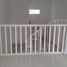 2 Schlafzimmer Haus zu verkaufen in Citeureup, West Jawa, Citeureup