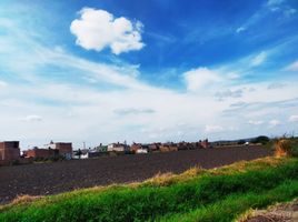  Grundstück zu verkaufen in Irapuato, Guanajuato, Irapuato