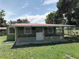 3 Bedroom House for rent in Penonome, Cocle, Canaveral, Penonome